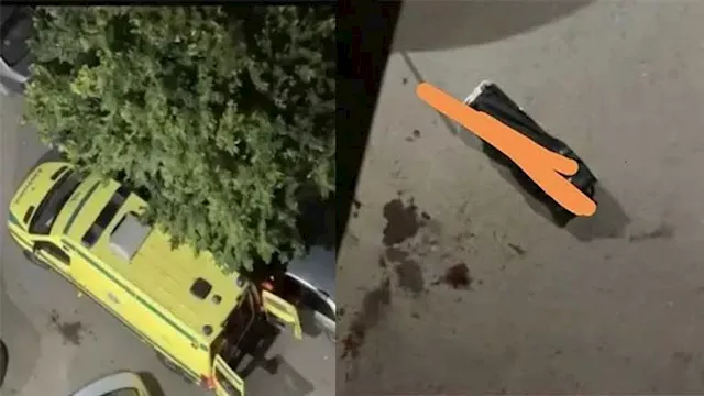 مش مجرد اكتئاب.. أستاذ طب نفسي يحلل تصرفات سيدة الإسكندرية قبل إنهاء حياتها